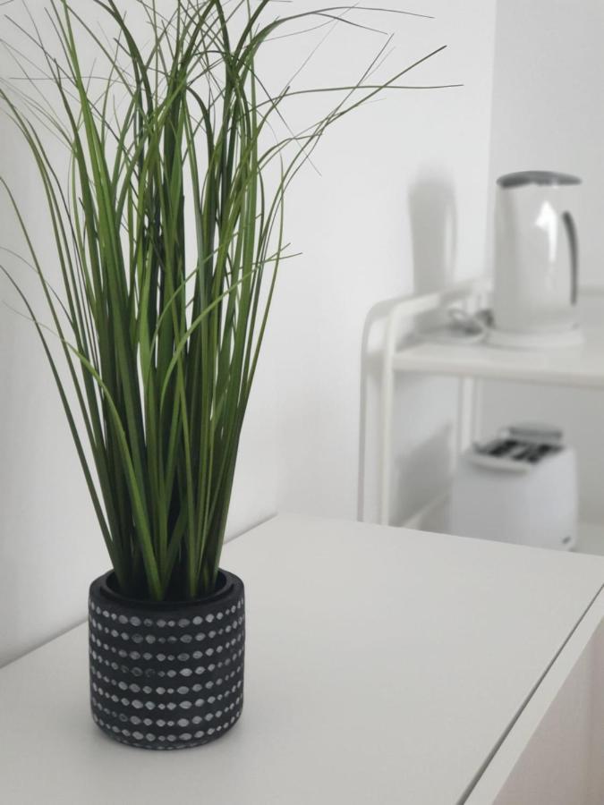 Palmeira Comfort Aveiro Exterior foto